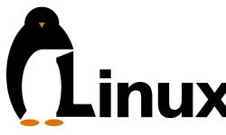 Featured image of post GNU/Linux